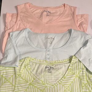 Coral Bay Woman’s Pink, Blue, and Green Tees Petite Medium 3piece set